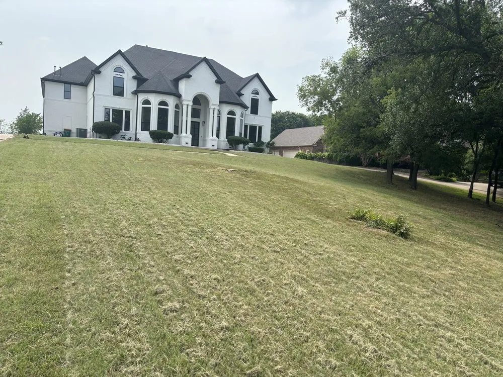 Trusted yard cleanup service for year-round maintenance in Mesquite, TX by Fernando Lawn services