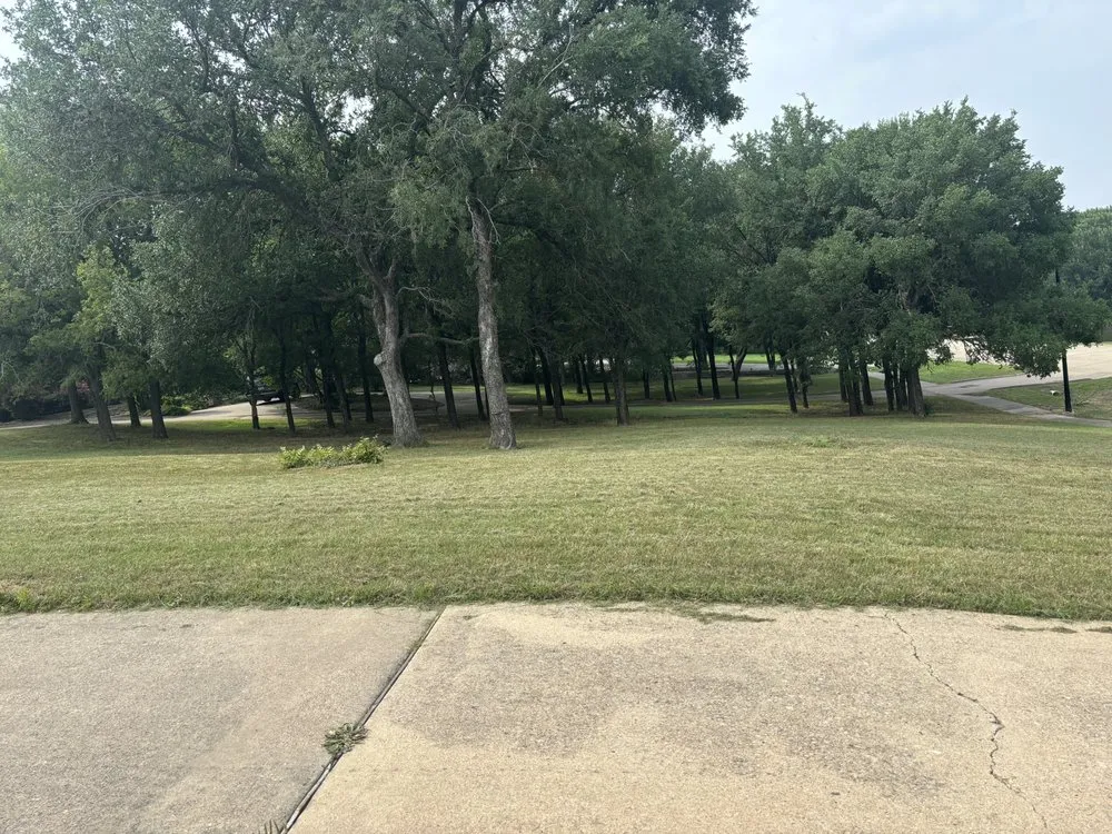 Top-rated lawn mowing service in Mesquite, TX - Fernando Lawn services