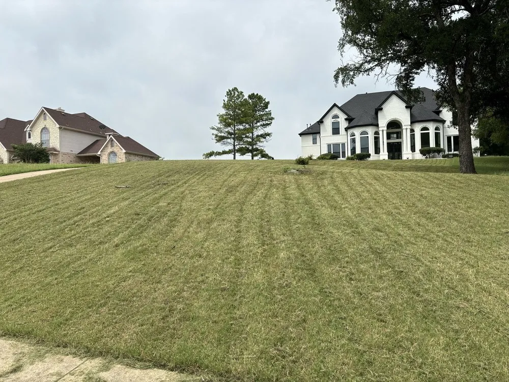 Trusted garden landscaping in Mesquite, TX by Fernando Lawn services