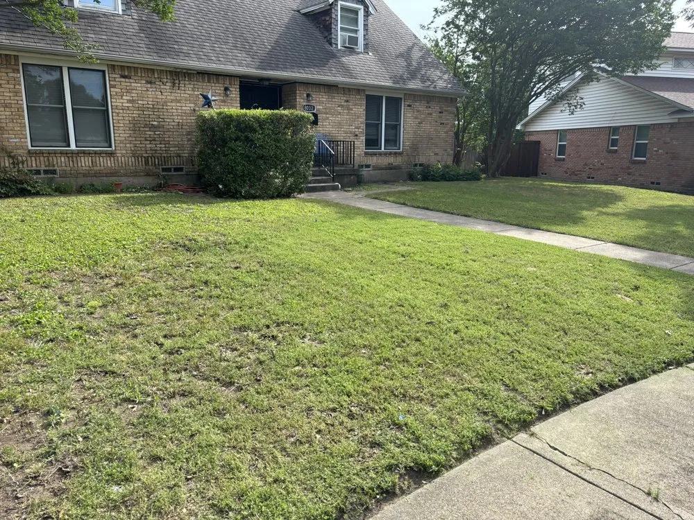 Trusted yard maintenance with custom design across Mesquite, TX - Fernando Lawn services