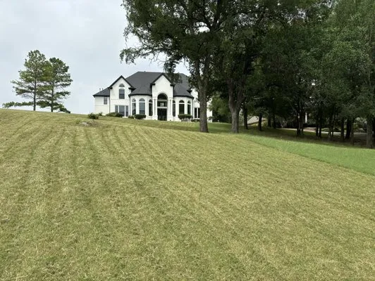 Fernando Lawn services