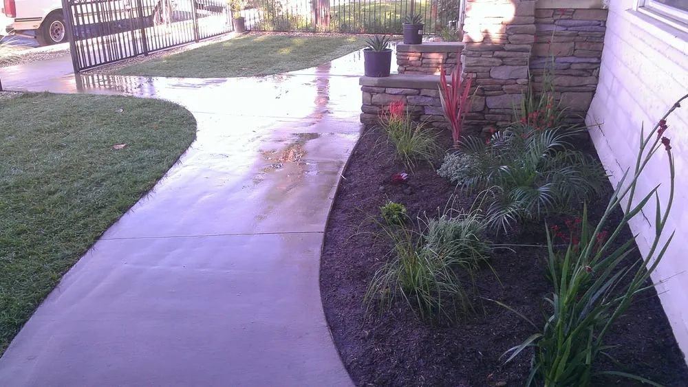Trusted yard cleanup service in Los Angeles, CA - Fernando’s Complete Landscape & Hardscape