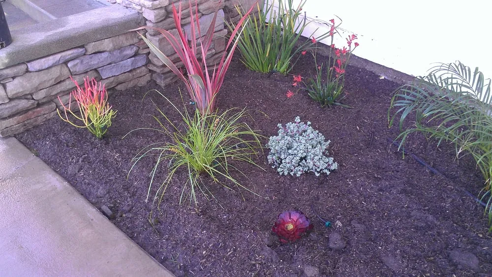 Reliable landscape design for year-round maintenance across Los Angeles, CA - Fernando’s Complete Landscape & Hardscape