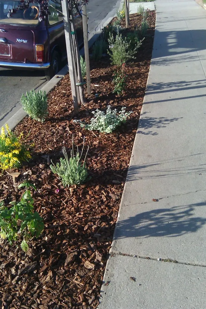 Affordable yard maintenance in Los Angeles, CA - Fernando’s Complete Landscape & Hardscape