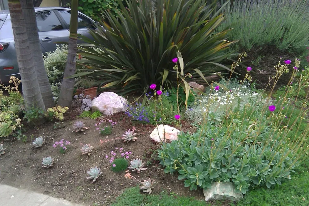 Professional landscaping services in Los Angeles, CA - Fernando’s Complete Landscape & Hardscape