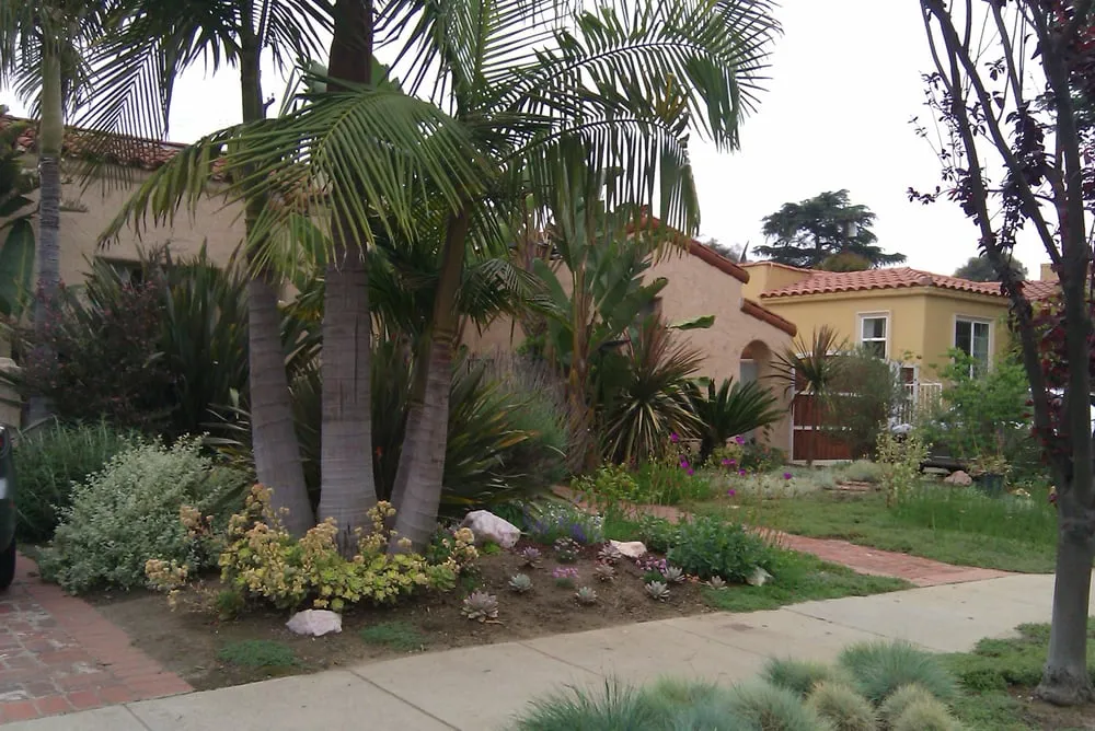 Expert yard cleanup service in Los Angeles, CA - Fernando’s Complete Landscape & Hardscape
