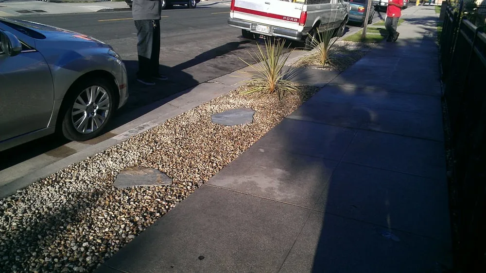 Affordable yard maintenance in Los Angeles, CA by Fernando’s Complete Landscape & Hardscape