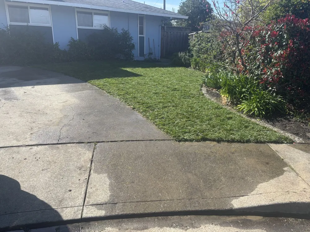 Top-rated yard maintenance experts serving Fremont, CA - Fernando's Gardening