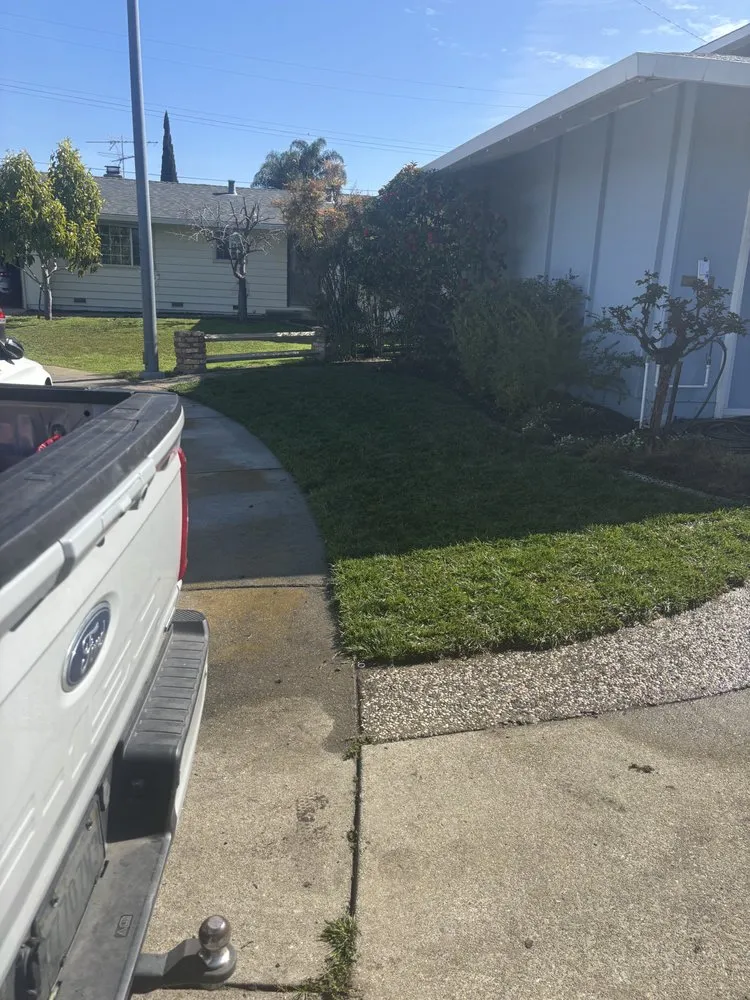 Local landscaping services for homes across Fremont, CA - Fernando's Gardening