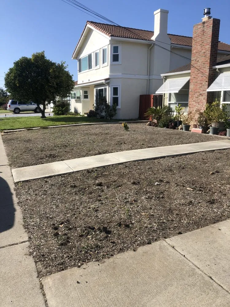 Custom landscaping services for outdoor upgrades across Fremont, CA - Fernando's Gardening