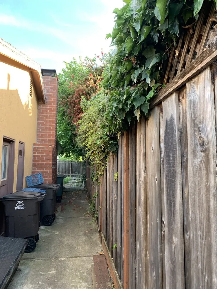 Trusted residential landscaping for year-round maintenance across Fremont, CA - Fernando's Gardening