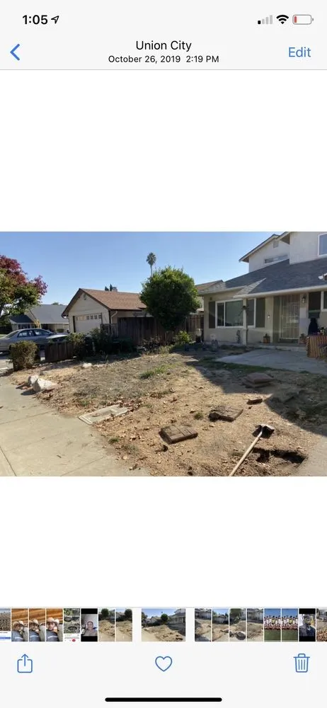Affordable lawn care service for year-round maintenance across Fremont, CA - Fernando's Gardening