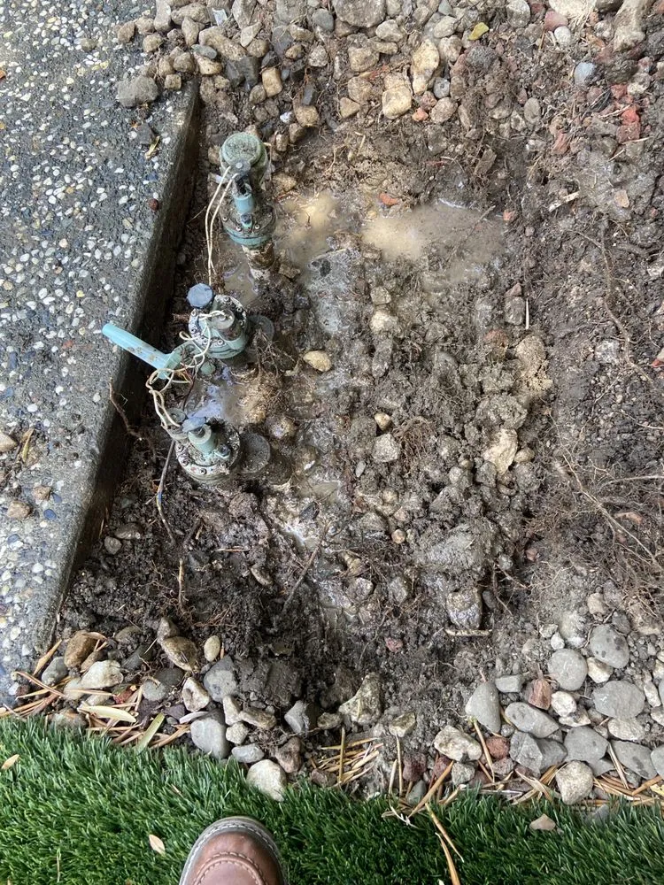 Reliable landscape installation experts serving Fremont, CA - Fernando's Gardening