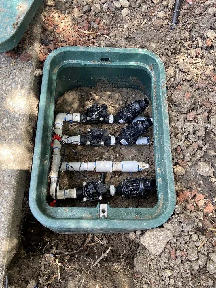 Trusted landscape installation experts serving Fremont, CA - Fernando's Gardening