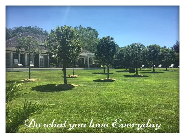 Reliable yard maintenance experts serving Watermill, NY - Fernando's Home Improvement