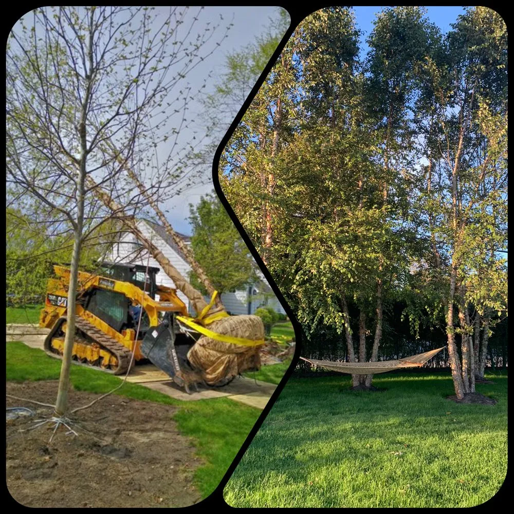 Custom yard cleanup service experts serving Watermill, NY - Fernando's Home Improvement