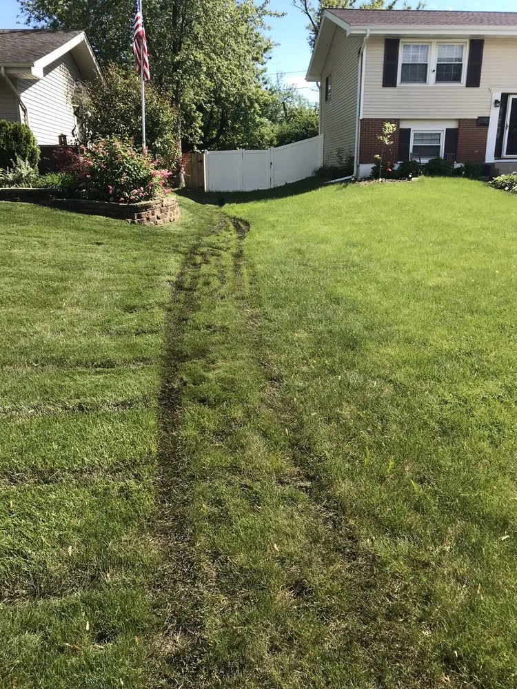 Trusted landscaping services in Glen Ellyn, IL by Fernando's Landscaping & Tree Service