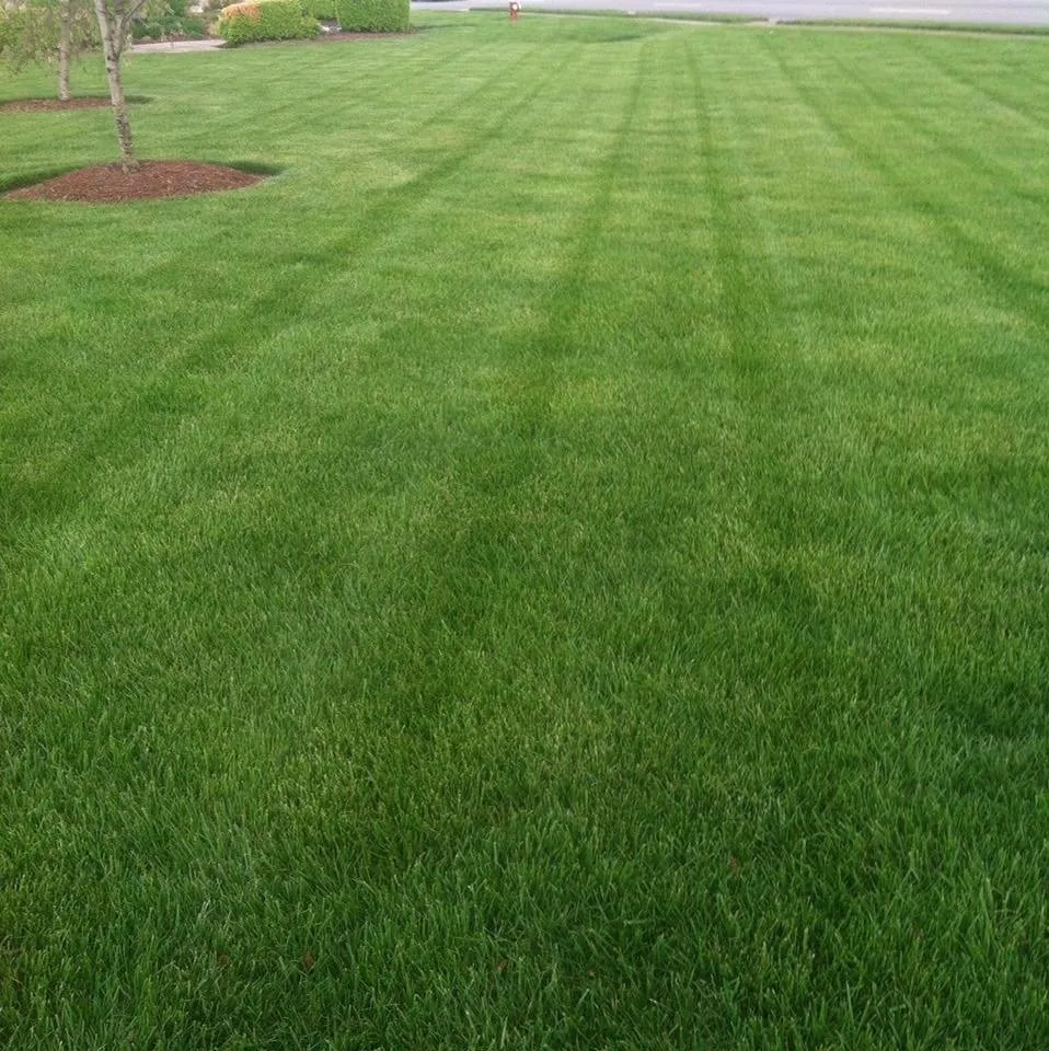 Expert residential landscaping with custom design in Georgetown, TX by Fernandos Landscaping