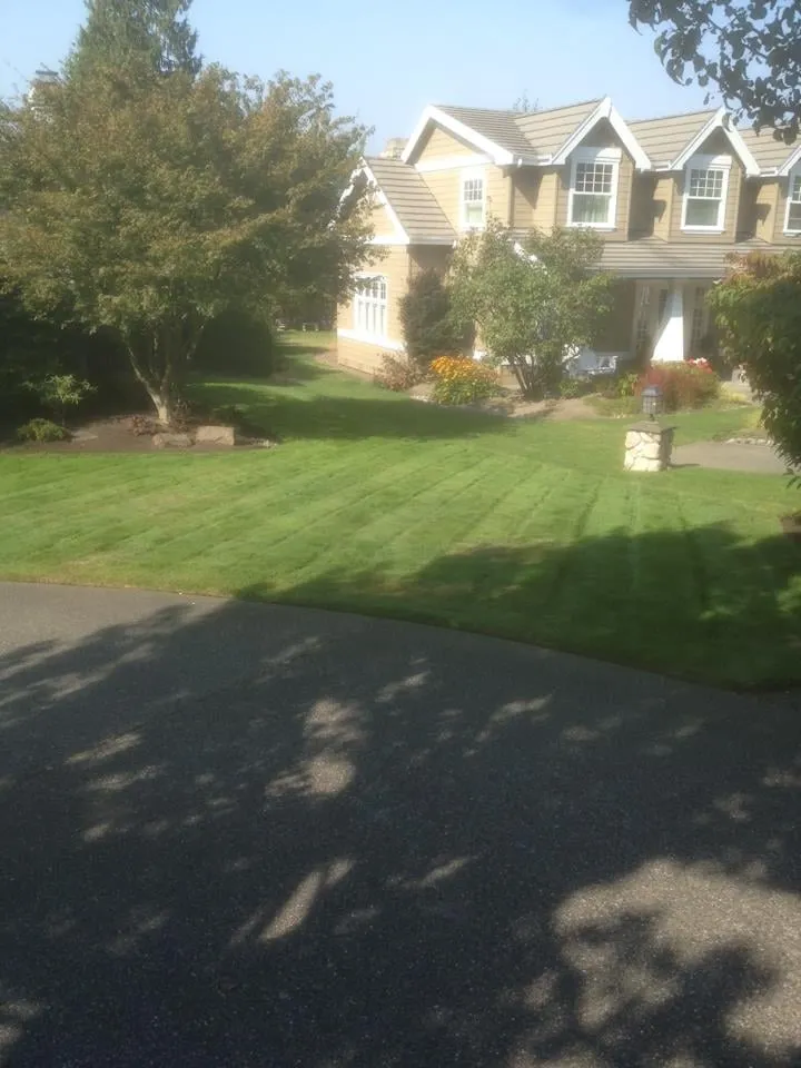 Reliable lawn care service in Renton, WA by Fernando's Landscaping