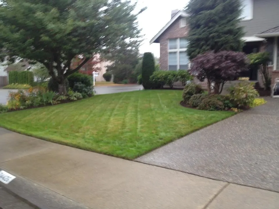 Trusted landscape installation in Renton, WA by Fernando's Landscaping