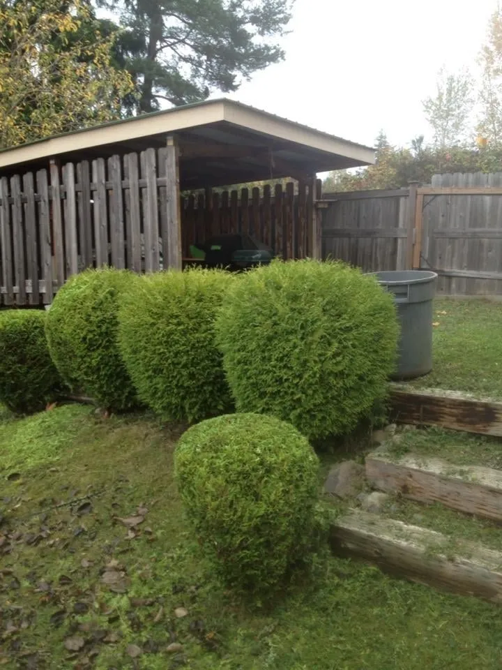 Professional landscaping services in Renton, WA by Fernando's Landscaping