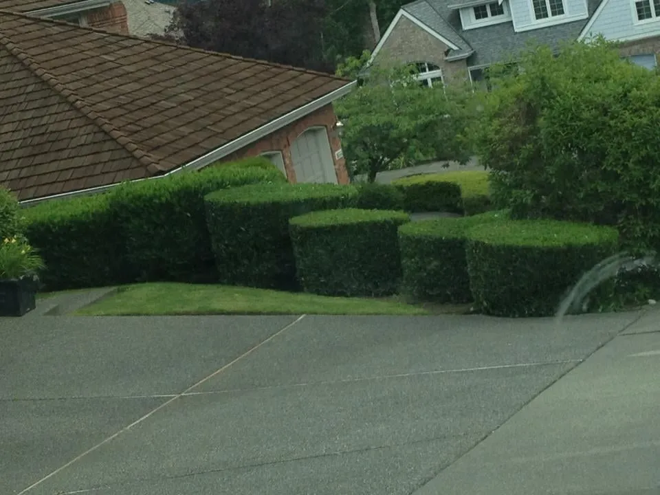 Reliable garden landscaping in Renton, WA - Fernando's Landscaping