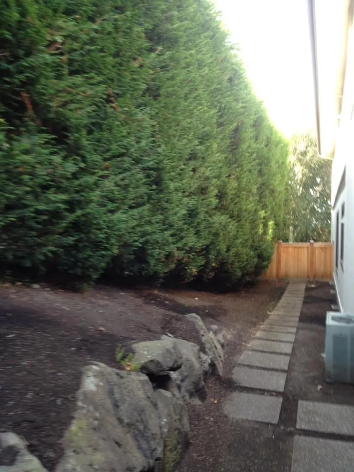 Professional landscape design for homes across Renton, WA - Fernando's Landscaping