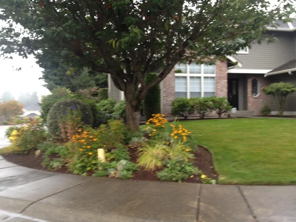 Top-rated yard maintenance experts serving Renton, WA - Fernando's Landscaping