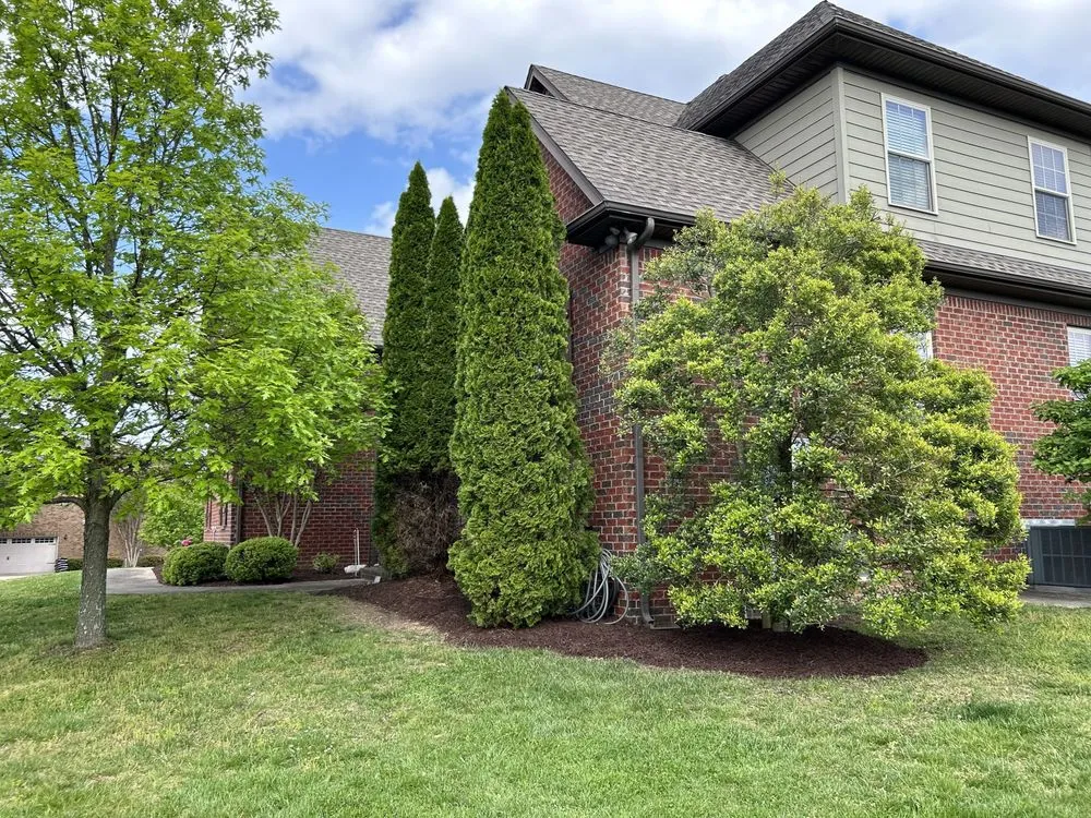 Top-rated yard maintenance in Shelbyville, TN by Fernando's Landscaping