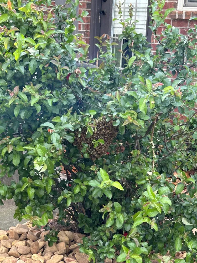 Trusted landscaping services experts serving Shelbyville, TN - Fernando's Landscaping