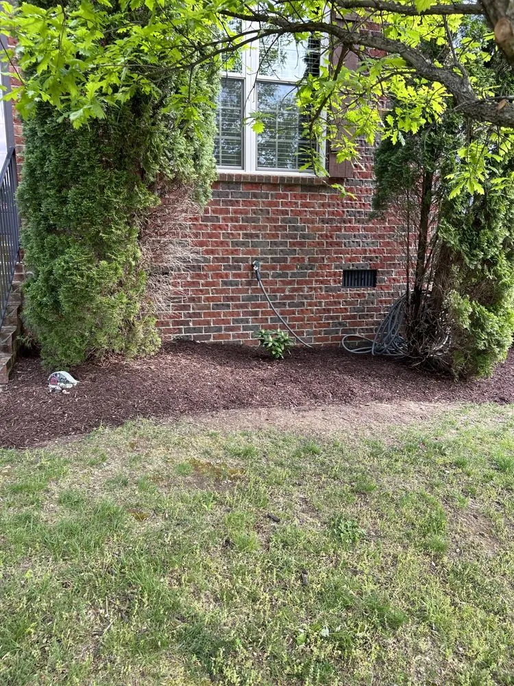 Top-rated lawn mowing service experts serving Shelbyville, TN - Fernando's Landscaping