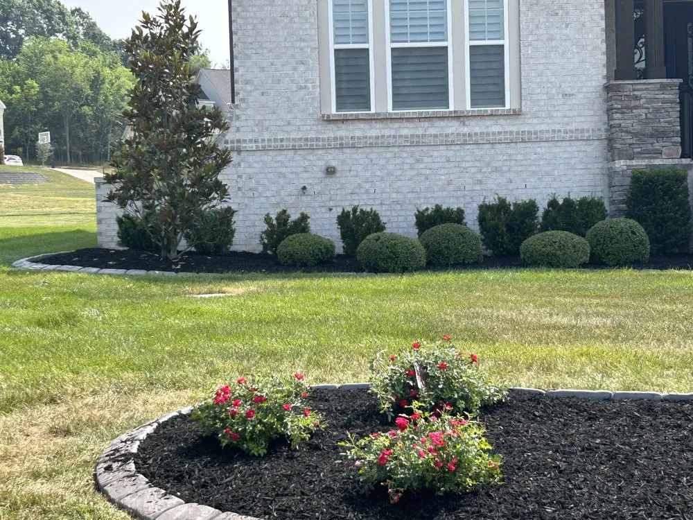 Professional yard cleanup service in Shelbyville, TN - Fernando's Landscaping