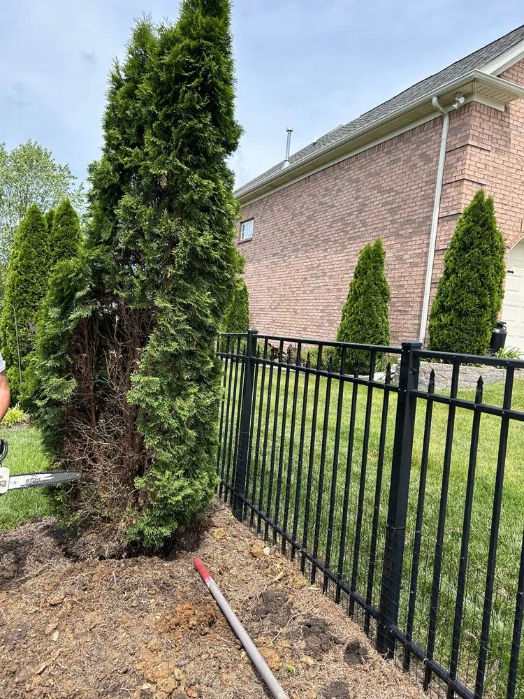 Reliable outdoor landscaping for beautiful yards across Shelbyville, TN - Fernando's Landscaping