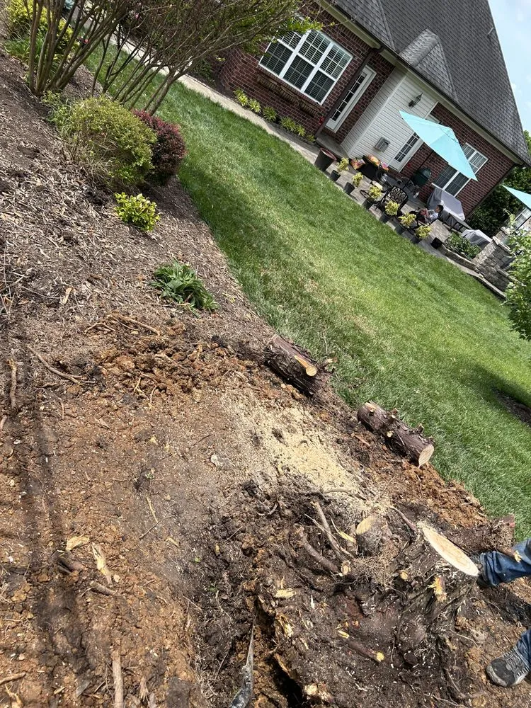 Professional lawn mowing service experts serving Shelbyville, TN - Fernando's Landscaping