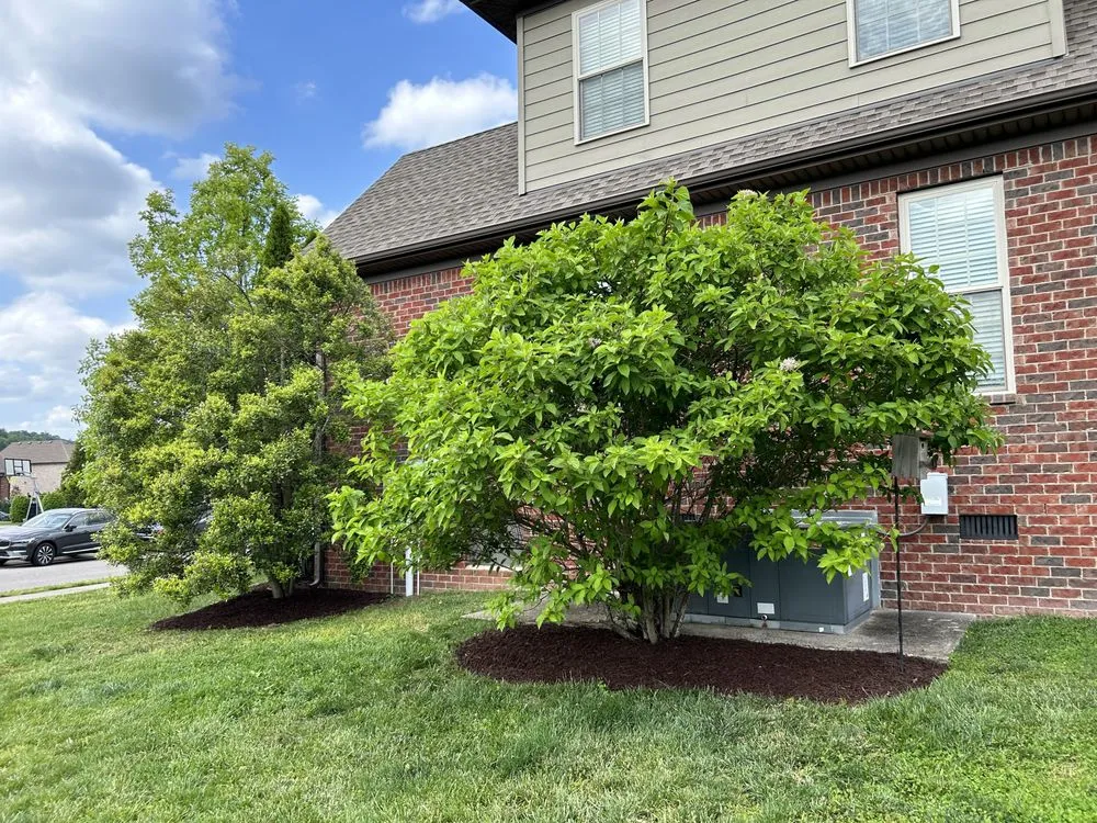 Custom yard cleanup service experts serving Shelbyville, TN - Fernando's Landscaping