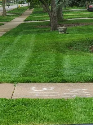 Fernando's Landscaping Logo