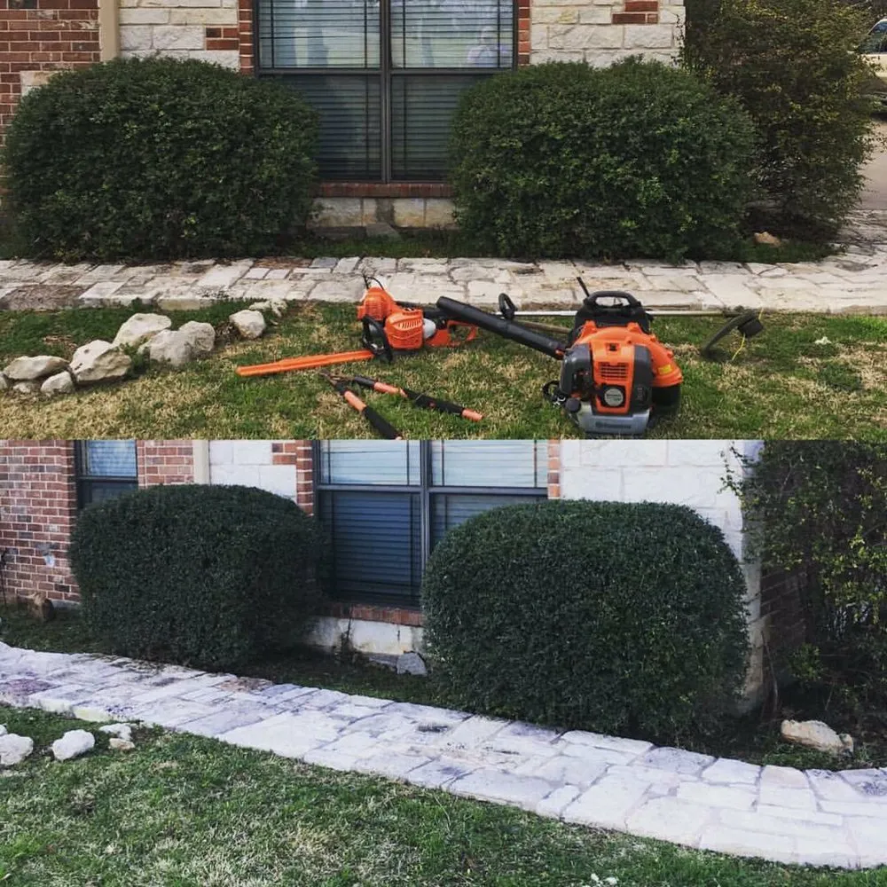 Professional yard cleanup service in Waco, TX - Fernandos Lawn & Landscape