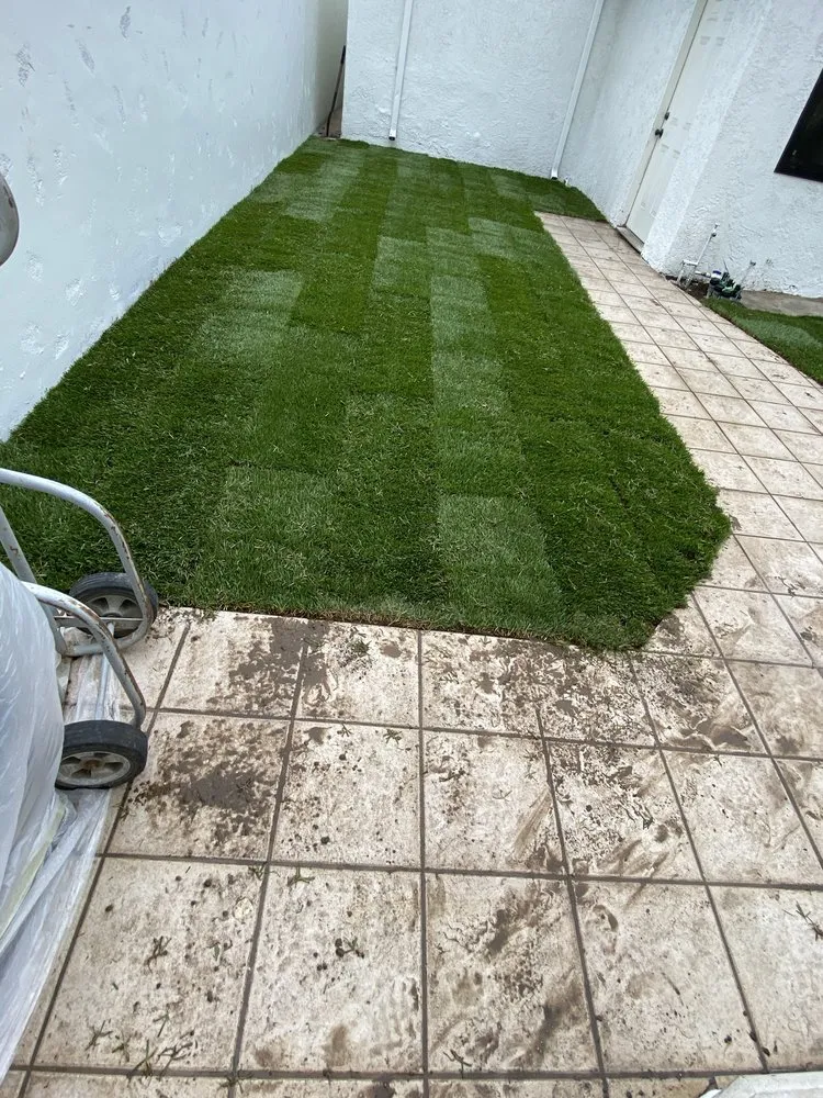 Top-rated landscape design for year-round maintenance in Inglewood, CA by Fernando’s Outdoor Creations