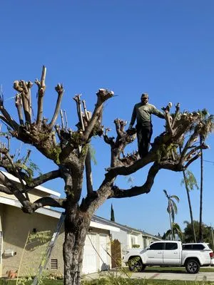 Fernando’s Outdoor Creations Logo