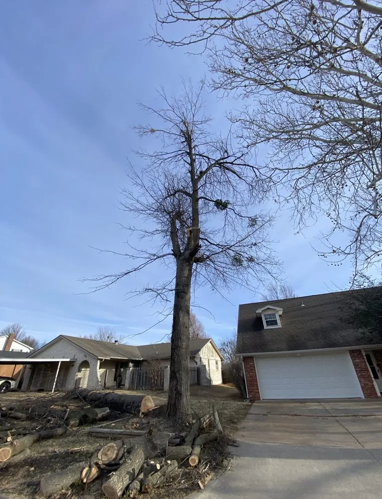 Local lawn mowing service for residential properties across Oklahoma City, OK - Fernando’s Tree & lawn service