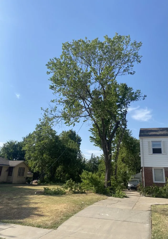 Expert landscape installation in Oklahoma City, OK by Fernando’s Tree & lawn service