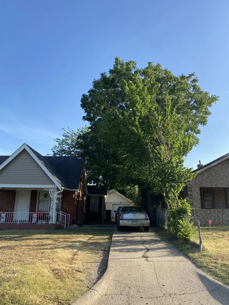 Expert yard maintenance in Oklahoma City, OK - Fernando’s Tree & lawn service