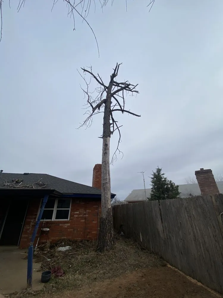 Expert yard cleanup service for residential properties across Oklahoma City, OK - Fernando’s Tree & lawn service