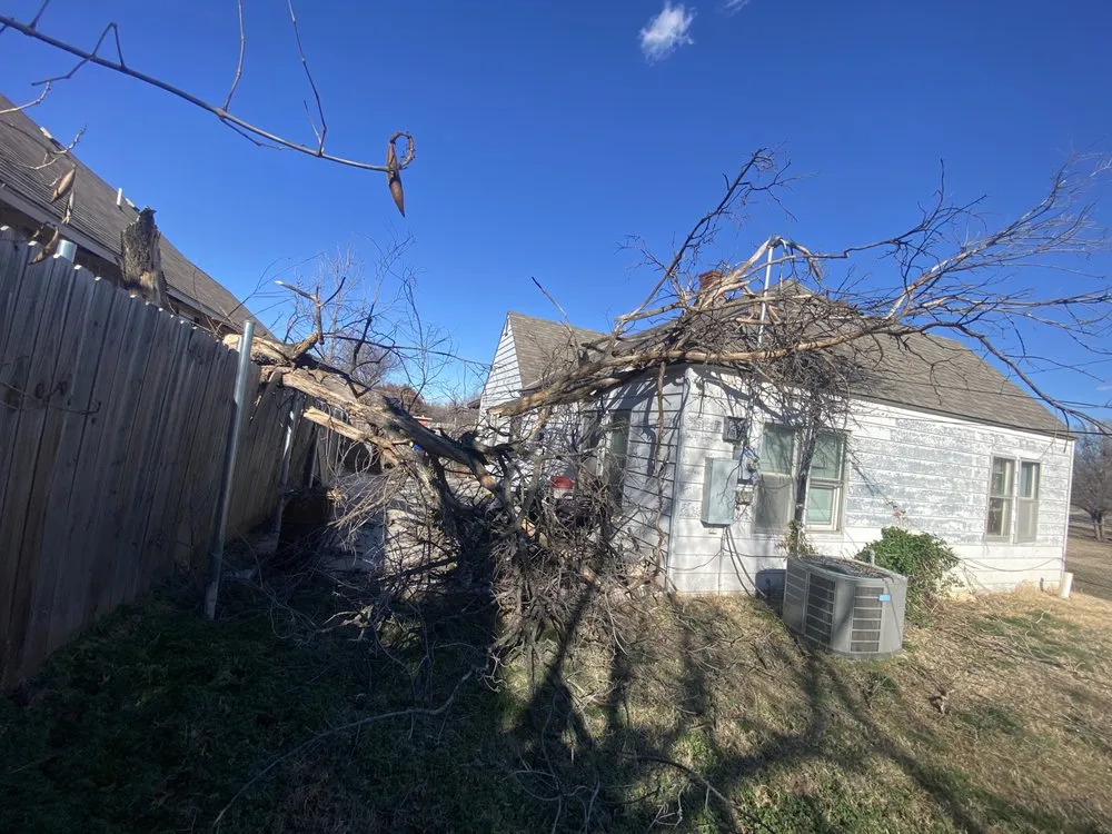 Top-rated yard cleanup service experts serving Oklahoma City, OK - Fernando’s Tree & lawn service