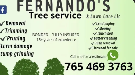 Fernando's Tree Service