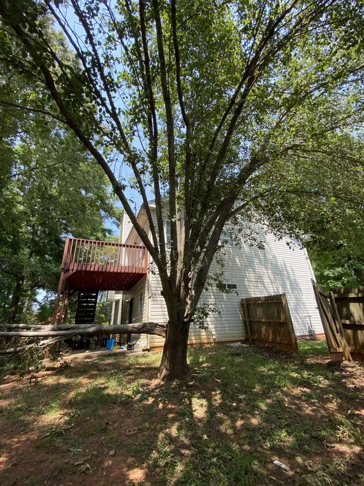Custom landscape installation for outdoor upgrades in Stone Mountain, GA by Fernando´s Tree Services