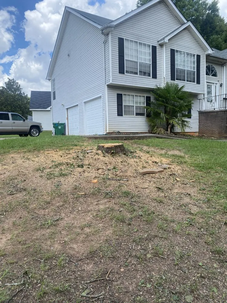 Top-rated yard maintenance in Stone Mountain, GA - Fernando´s Tree Services