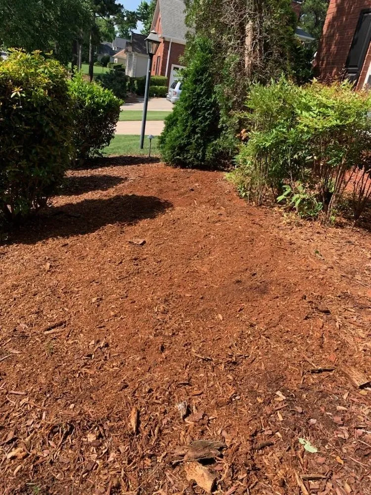 Trusted yard maintenance for beautiful yards across Stone Mountain, GA - Fernando´s Tree Services