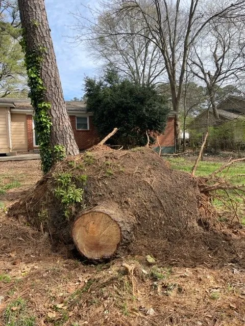 Top-rated garden landscaping in Stone Mountain, GA - Fernando´s Tree Services