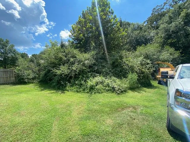 Top-rated outdoor landscaping near you across Stone Mountain, GA - Fernando´s Tree Services